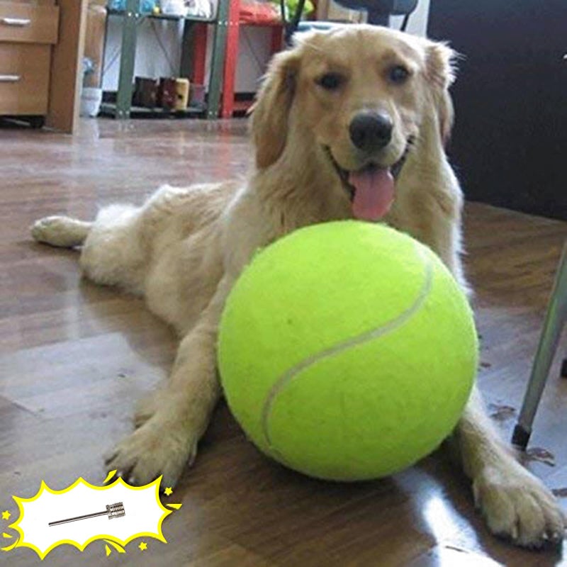 Banfeng Big Tennis Ball for Dogs, Giant Dog Tennis Ball Toy Large Outdoor Sports Gift for Small Medium Large Dog (Yellow, 9.5 inch) - Image 1